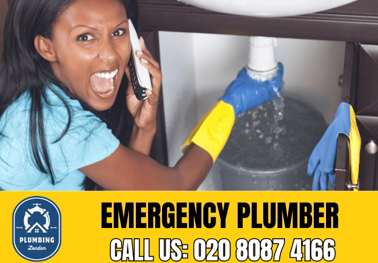 emergency plumber Balham