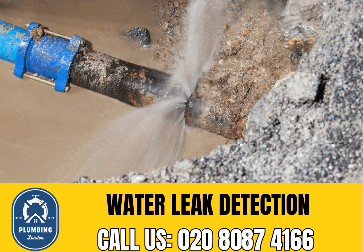 leak detection Balham