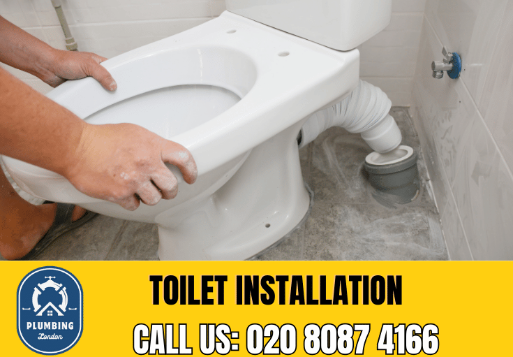 toilet fitters Balham